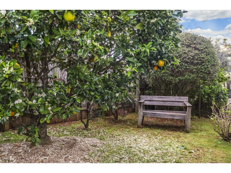 Unit 62/187a Ballina Road, Alstonville NSW 2477