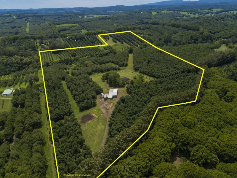 319 Arthur Road, Dorroughby NSW 2480