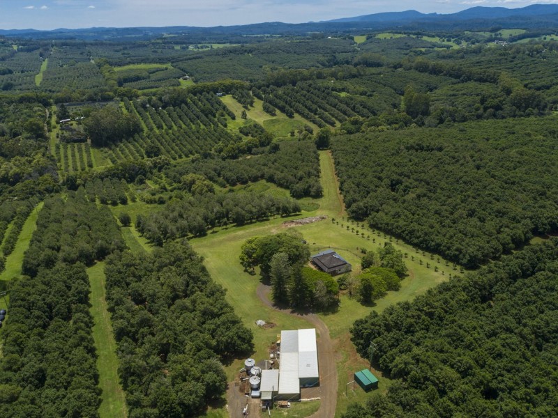 319 Arthur Road, Dorroughby NSW 2480