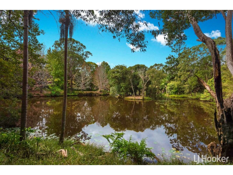 89 Platypus Drive, Uralba NSW 2477