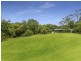 199 Cameron Road, Mcleans Ridges NSW 2480
