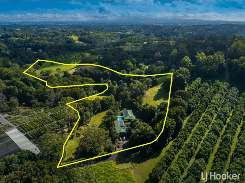 59 Byrnes Lane, Tuckombil NSW 2477