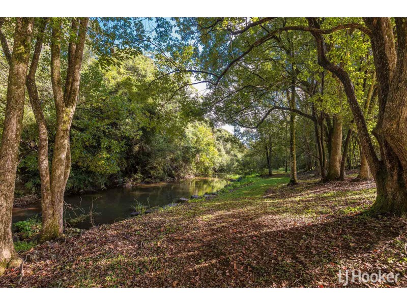 59 Byrnes Lane, Tuckombil NSW 2477