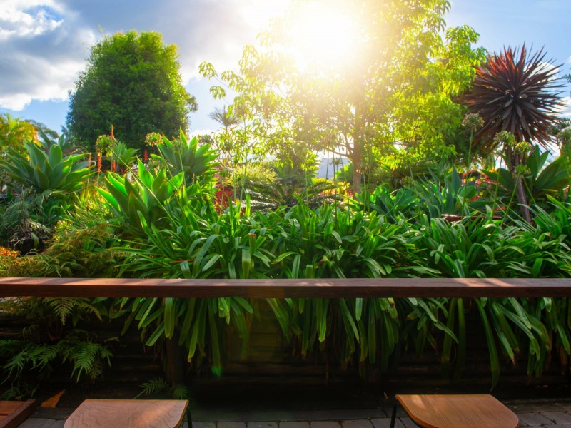 12 Northcott Drive, Goonellabah NSW 2480
