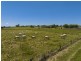 62 Lagoon Grass Road, Lagoon Grass NSW 2480