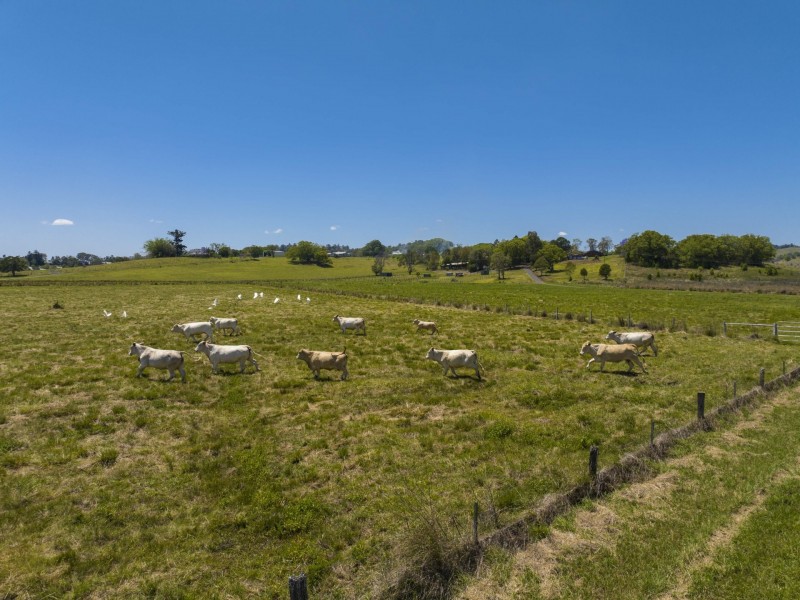 62 Lagoon Grass Road, Lagoon Grass NSW 2480
