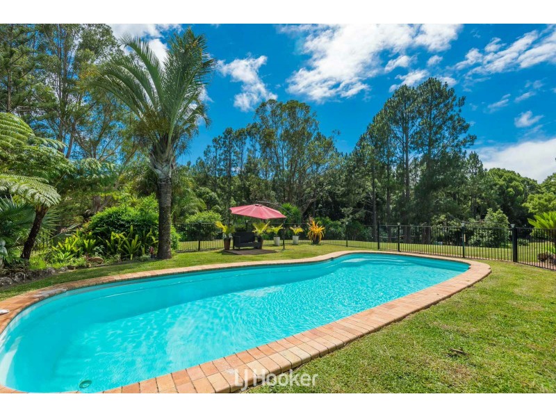593 Houghlahans Creek Road, Pearces Creek NSW 2477