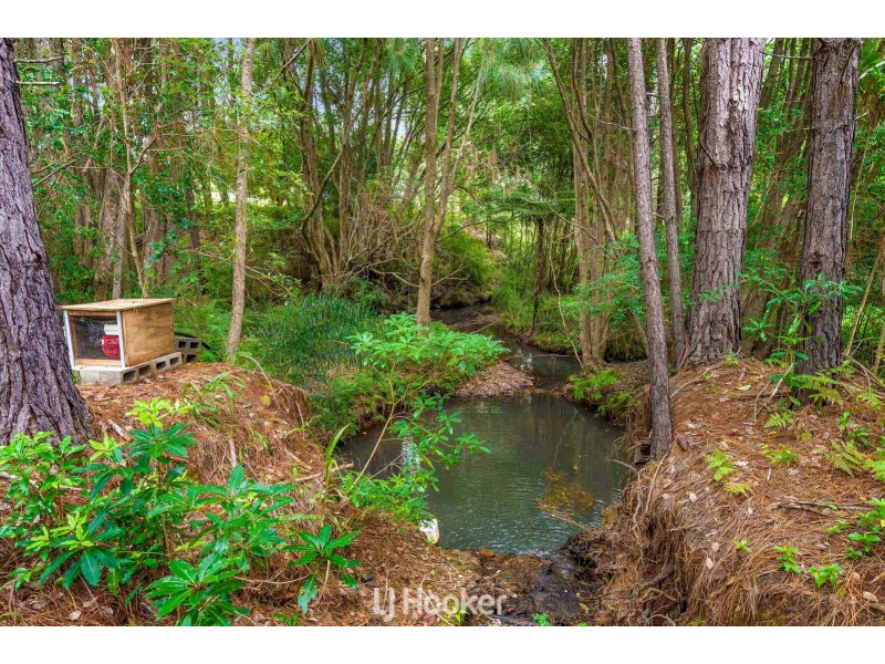 593 Houghlahans Creek Road, Pearces Creek NSW 2477