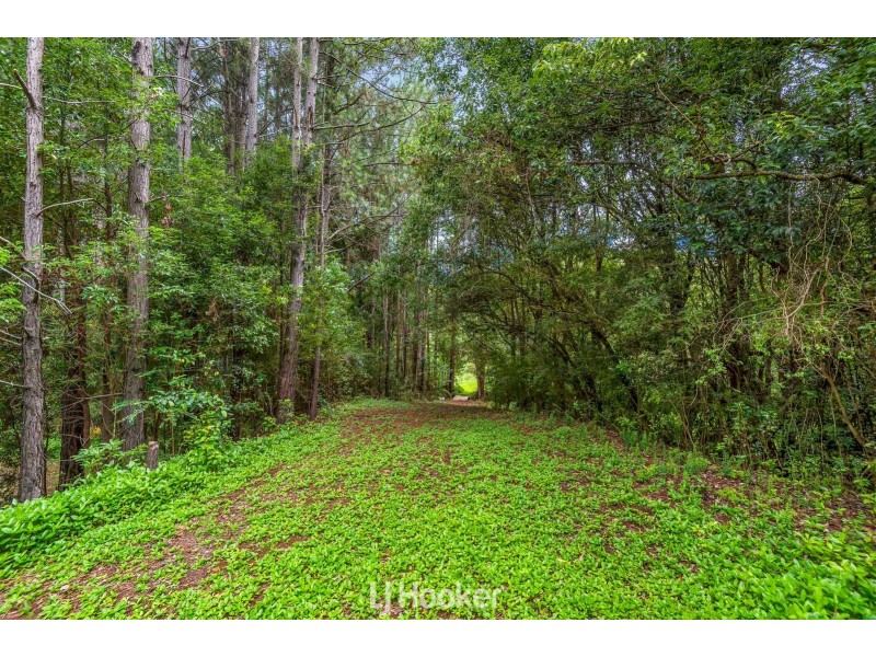 593 Houghlahans Creek Road, Pearces Creek NSW 2477
