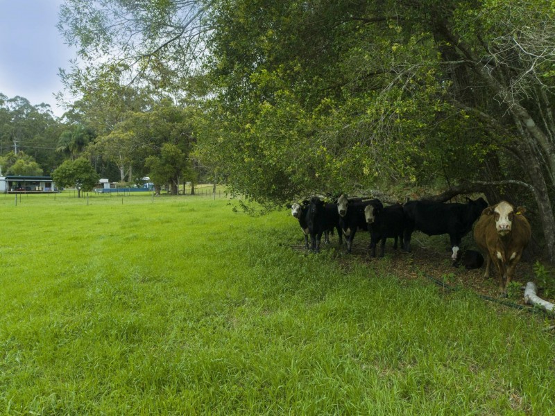 60 Gahans Road, Meerschaum Vale NSW 2477