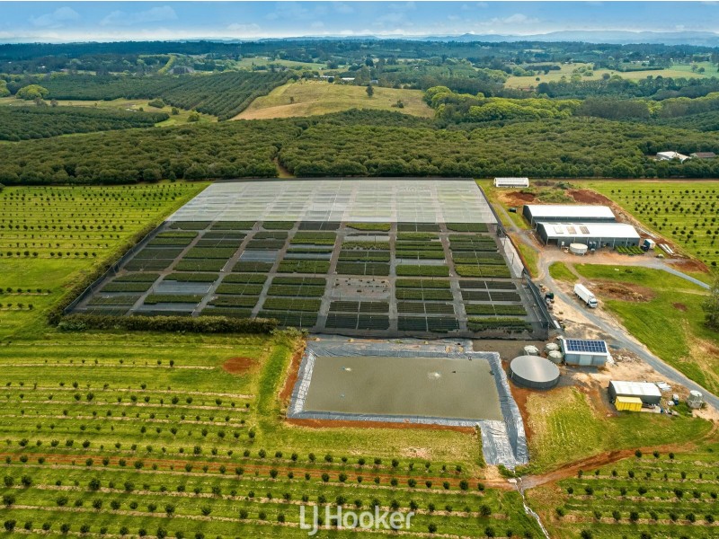 31 Morelia Lane, Wollongbar NSW 2477