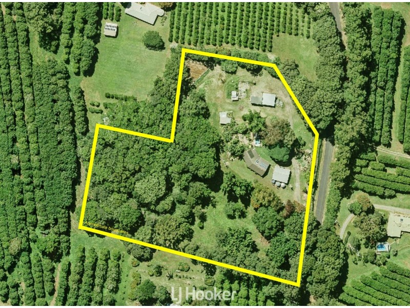 389 Pearces Creek Road, Alstonvale NSW 2477