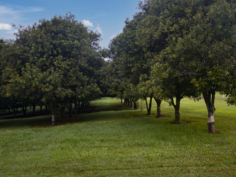 30 Johnstons Road, Alstonville NSW 2477