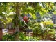 11 Dalmacia Drive, Wollongbar NSW 2477