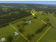 600 Rous Road, Tregeagle NSW 2480