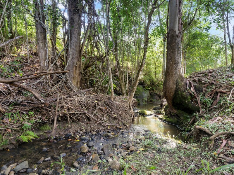 1 Zouch Road, Stony Chute NSW 2480