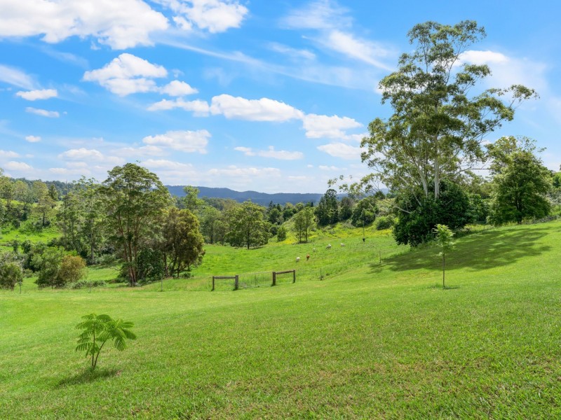 1 Zouch Road, Stony Chute NSW 2480