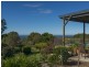 105 Buckombil Mountain Road, Meerschaum Vale NSW 2477