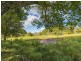 105 Buckombil Mountain Road, Meerschaum Vale NSW 2477