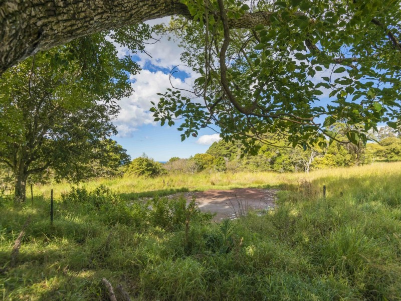 105 Buckombil Mountain Road, Meerschaum Vale NSW 2477