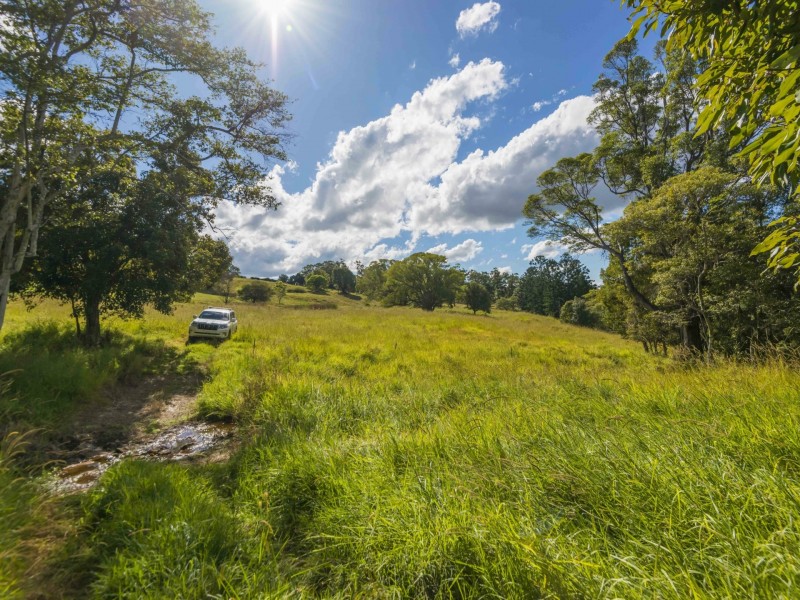 105 Buckombil Mountain Road, Meerschaum Vale NSW 2477