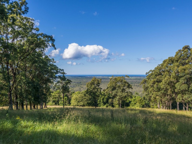 105 Buckombil Mountain Road, Meerschaum Vale NSW 2477