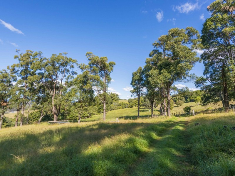 105 Buckombil Mountain Road, Meerschaum Vale NSW 2477