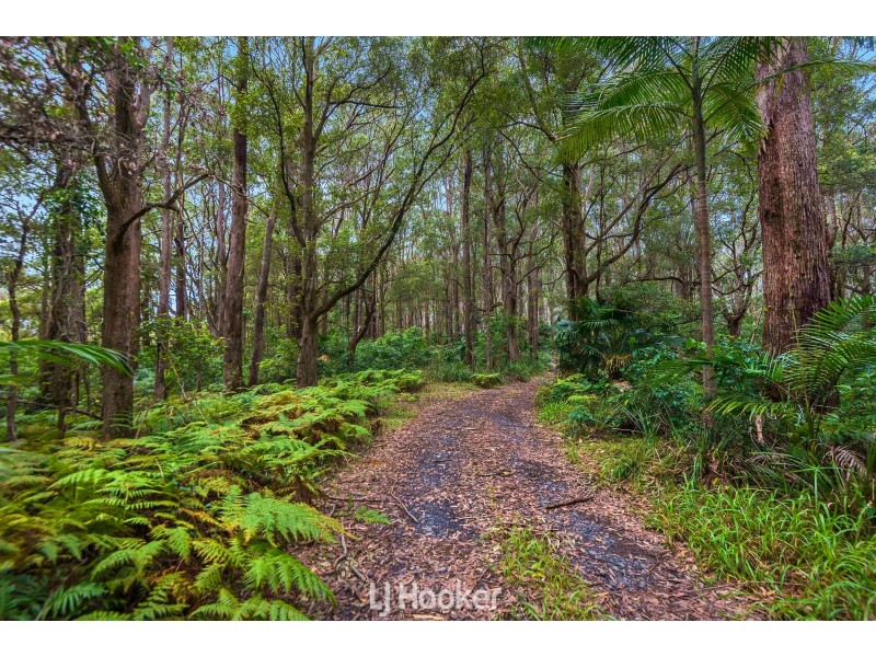 252 Coolgardie Road, Coolgardie NSW 2478