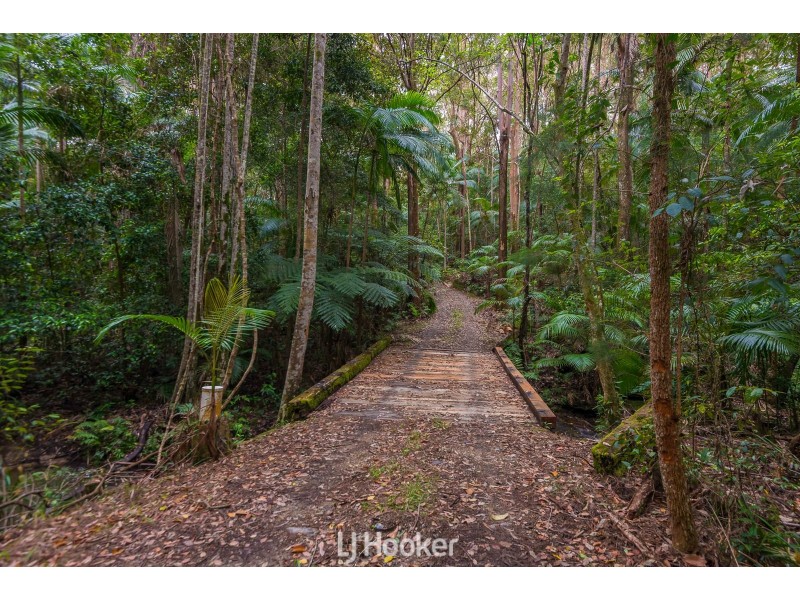 252 Coolgardie Road, Coolgardie NSW 2478