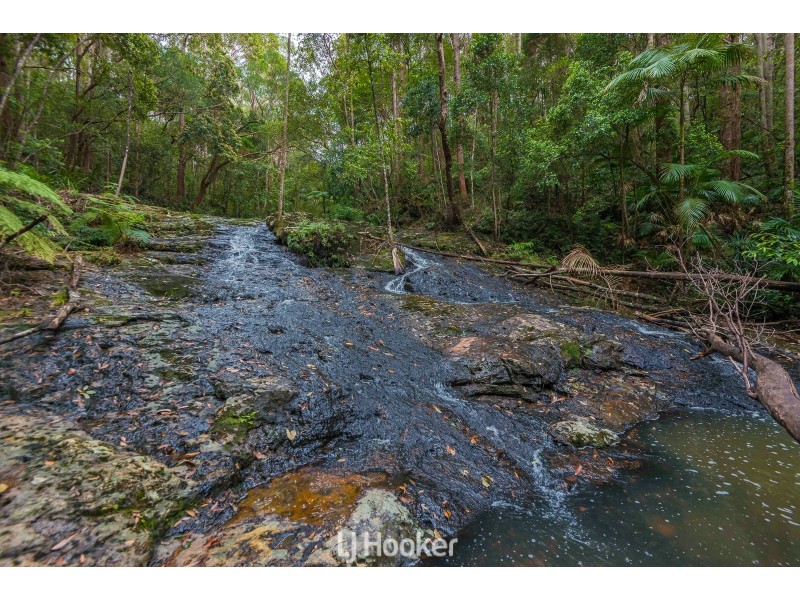 252 Coolgardie Road, Coolgardie NSW 2478