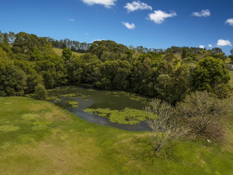 41 Sproule Drive, Alstonvale NSW 2477