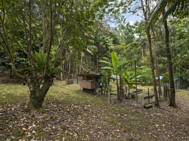 570 Tuntable Creek Road, Tuntable Creek NSW 2480