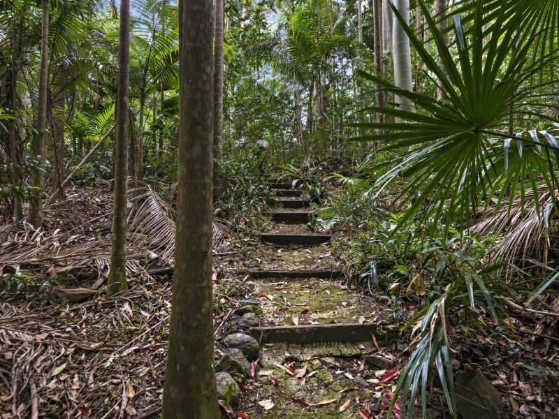 570 Tuntable Creek Road, Tuntable Creek NSW 2480