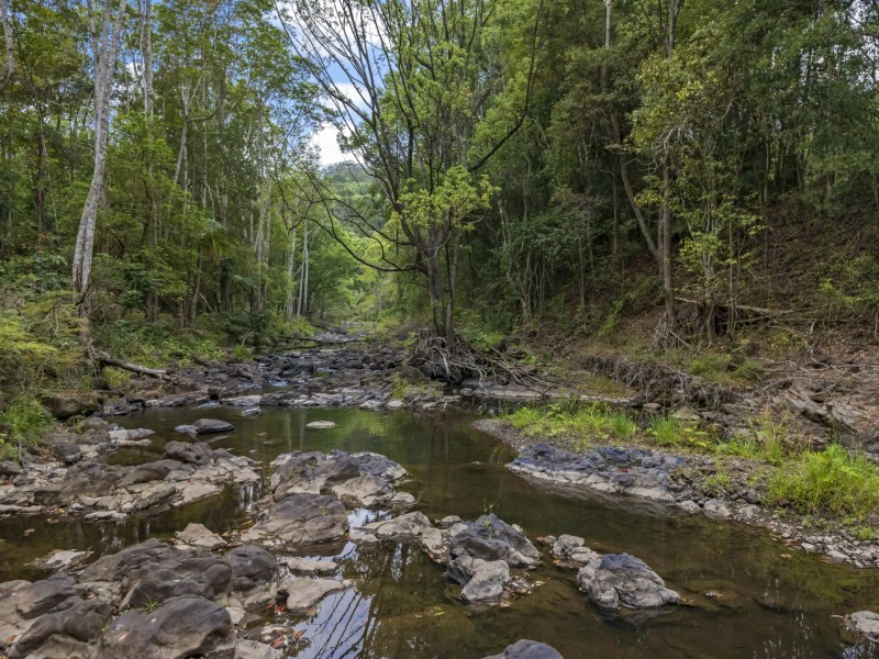 570 Tuntable Creek Road, Tuntable Creek NSW 2480