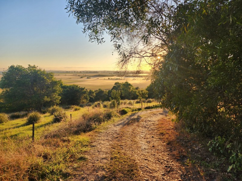 109 Sartories Road, Pimlico NSW 2478