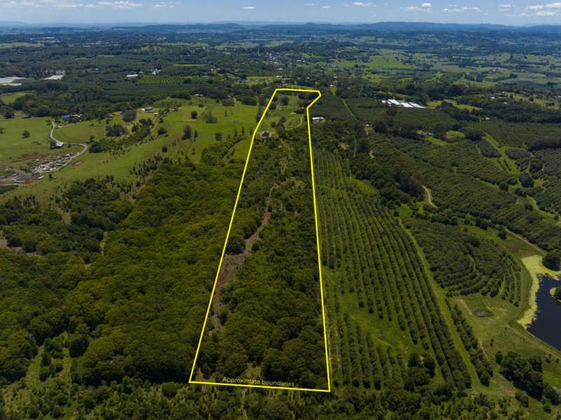 Mcleans Ridges NSW 2480