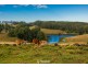 332 Coolgardie Road, Coolgardie NSW 2478