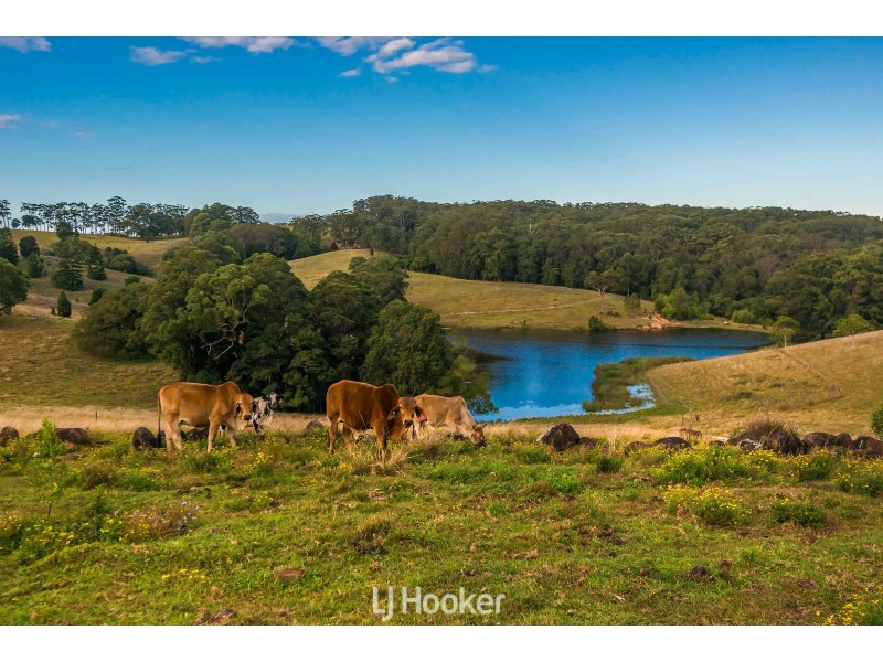 332 Coolgardie Road, Coolgardie NSW 2478
