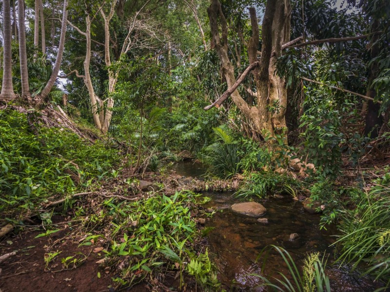 14 Cerreto Circuit, Wollongbar NSW 2477