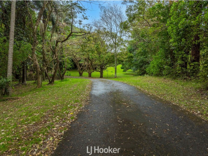 1008 Teven Road, Tuckombil NSW 2477