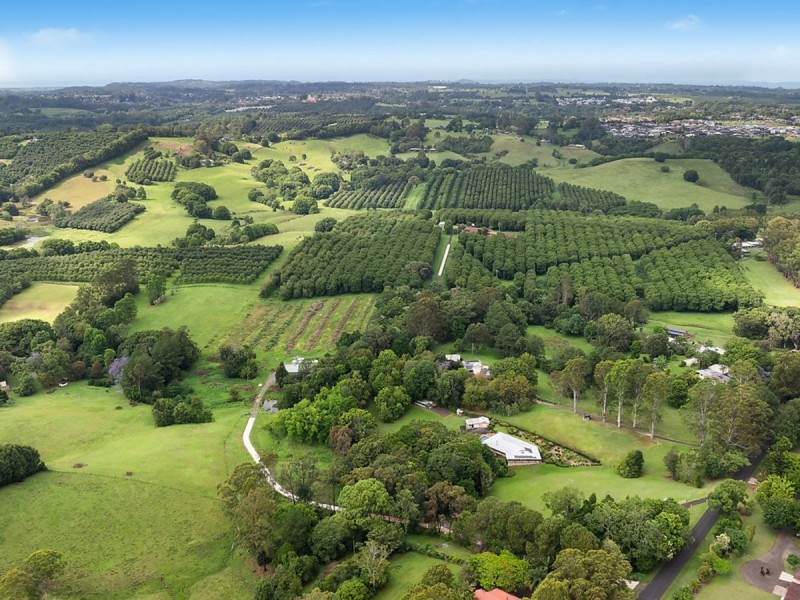 314 Sneaths Road, Alstonvale NSW 2477