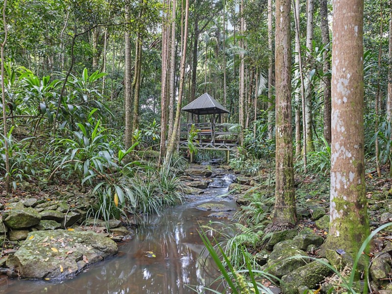 314 Sneaths Road, Alstonvale NSW 2477