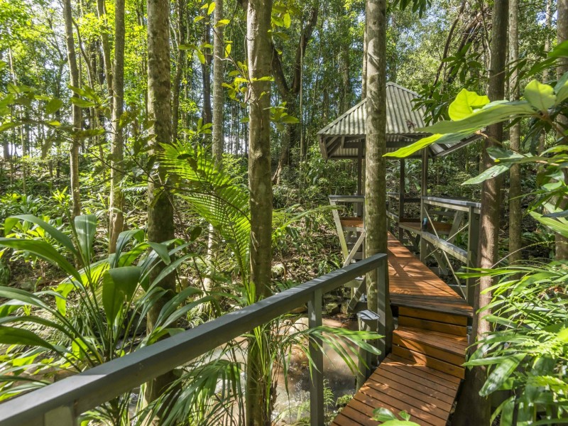 314 Sneaths Road, Alstonvale NSW 2477