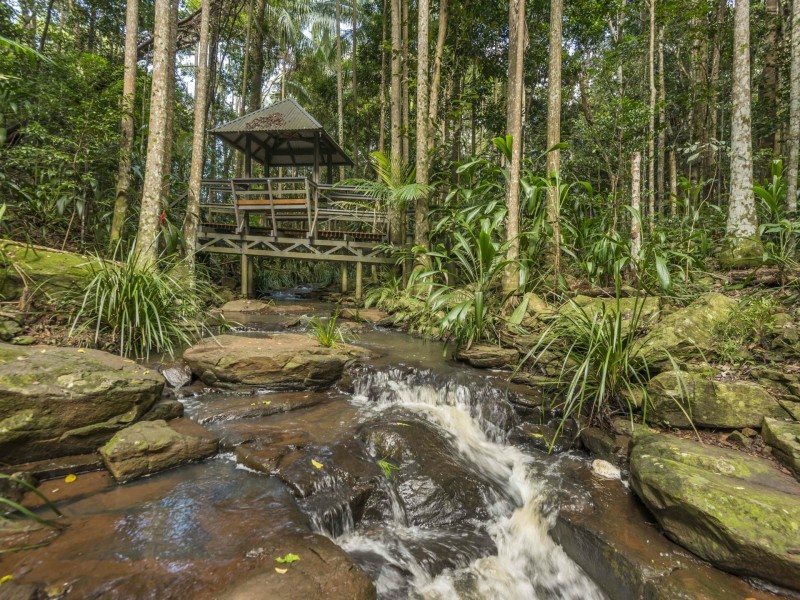 314 Sneaths Road, Alstonvale NSW 2477