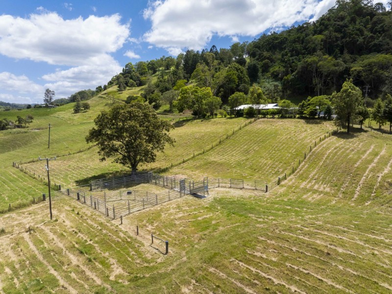 138 Bice Road, Leycester NSW 2480