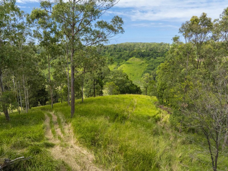 138 Bice Road, Leycester NSW 2480