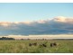 52 Hazlemount Lane, Tuckurimba NSW 2480