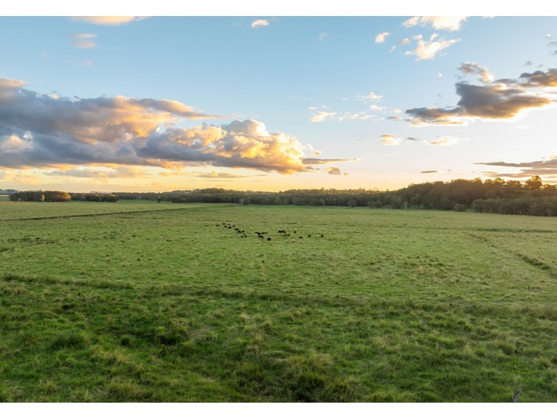 52 Hazlemount Lane, Tuckurimba NSW 2480