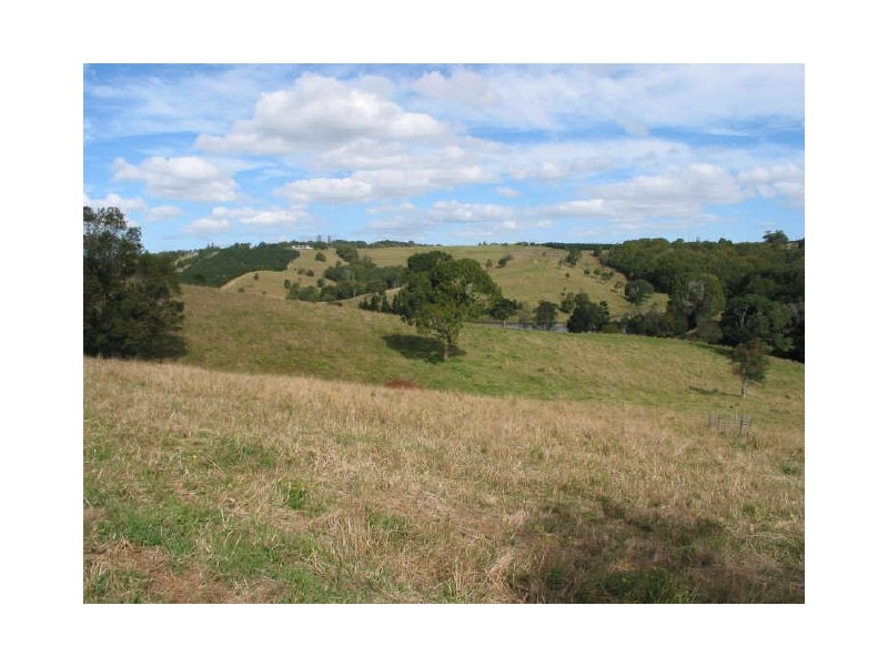 66 Humpty Back Road, Mcleans Ridges NSW 2480