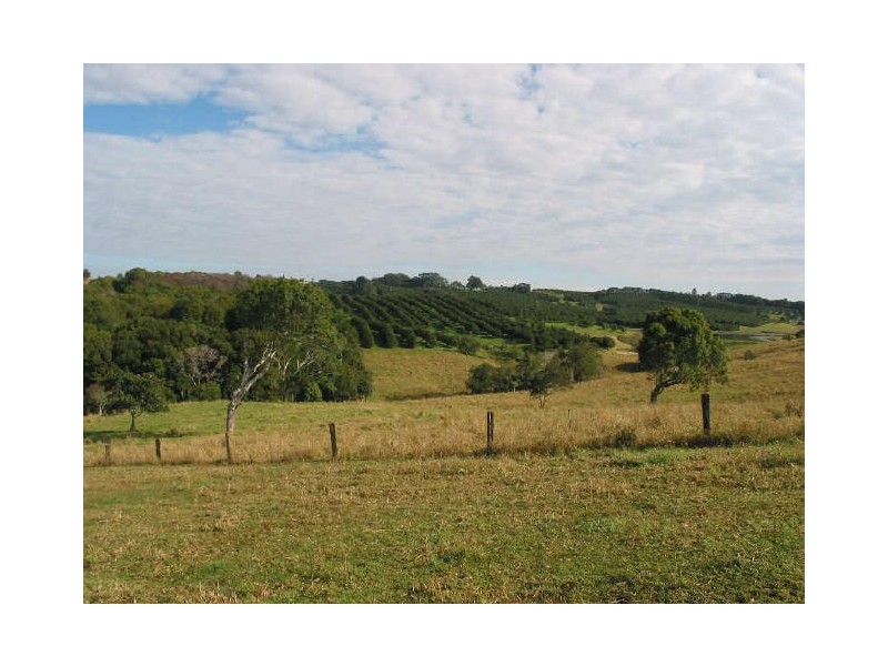66 Humpty Back Road, Mcleans Ridges NSW 2480